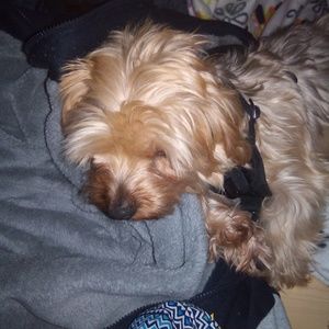 Meet your Posher, Keladry!